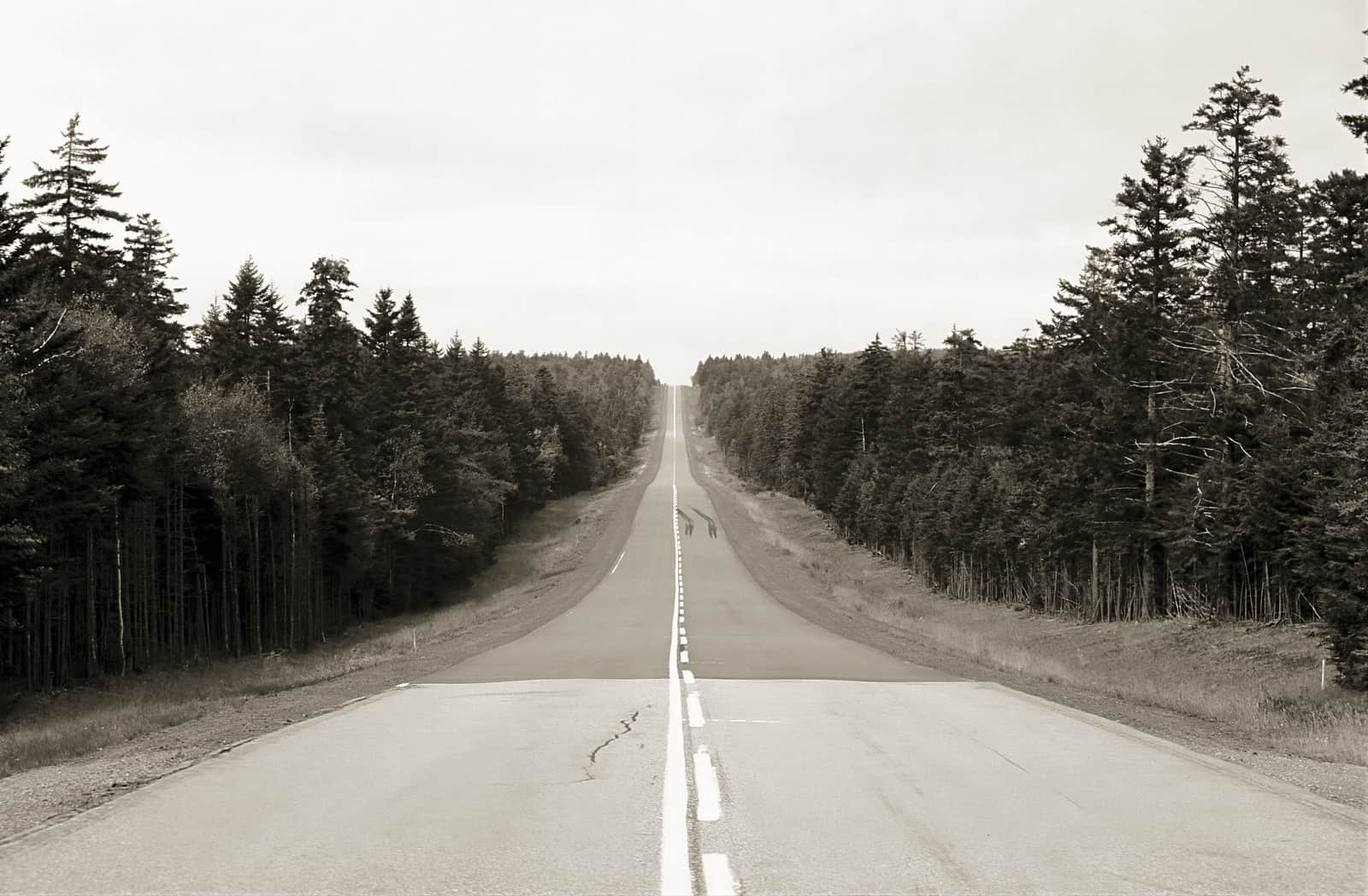 A long straight road running toward a distant horizon
